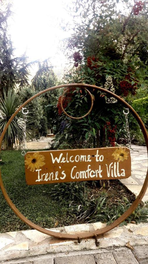 Irene'S Comfort Villa نيا إيبيدافروس المظهر الخارجي الصورة
