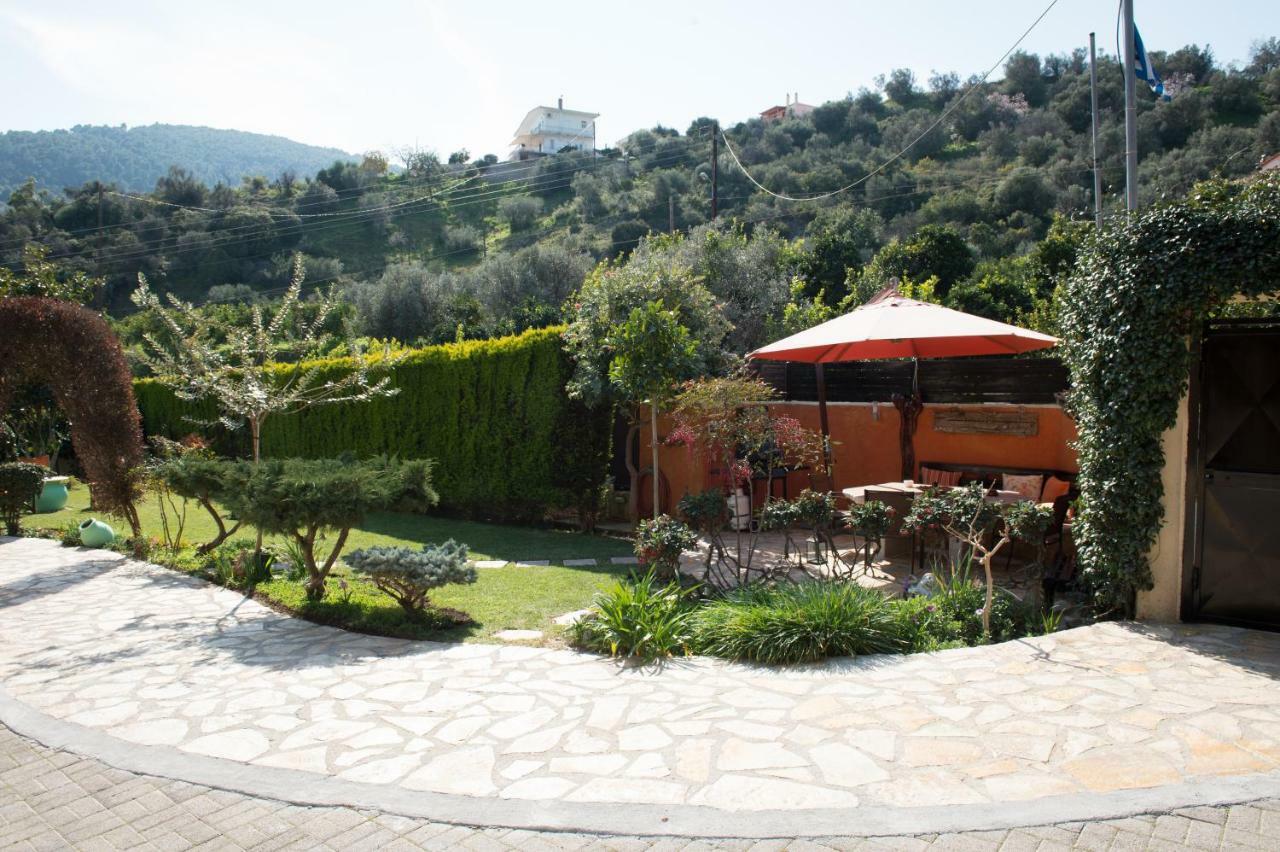 Irene'S Comfort Villa نيا إيبيدافروس المظهر الخارجي الصورة