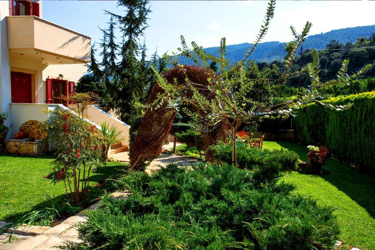 Irene'S Comfort Villa نيا إيبيدافروس المظهر الخارجي الصورة