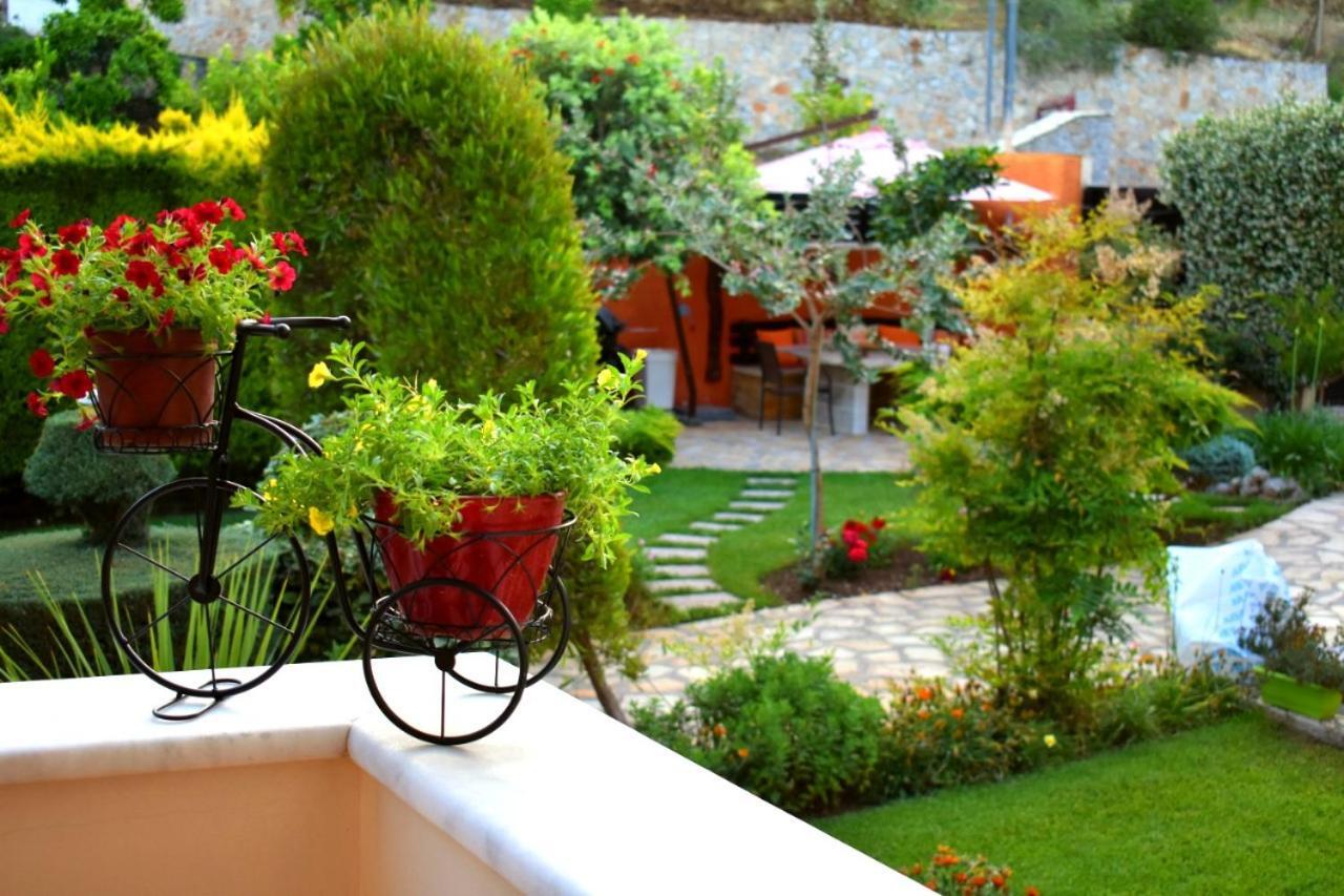 Irene'S Comfort Villa نيا إيبيدافروس المظهر الخارجي الصورة
