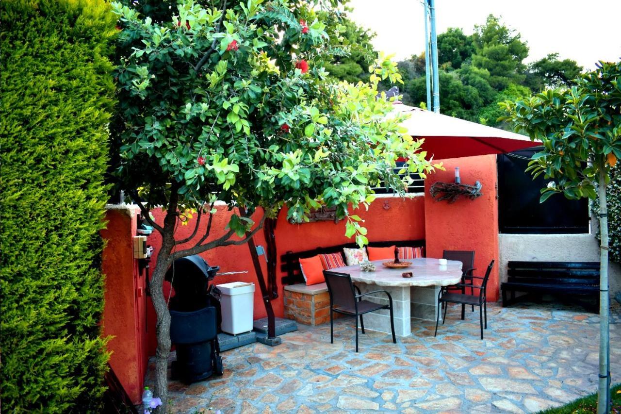 Irene'S Comfort Villa نيا إيبيدافروس المظهر الخارجي الصورة