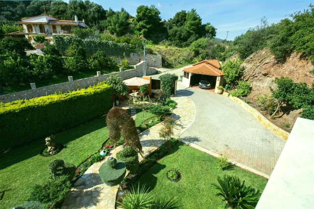 Irene'S Comfort Villa نيا إيبيدافروس المظهر الخارجي الصورة