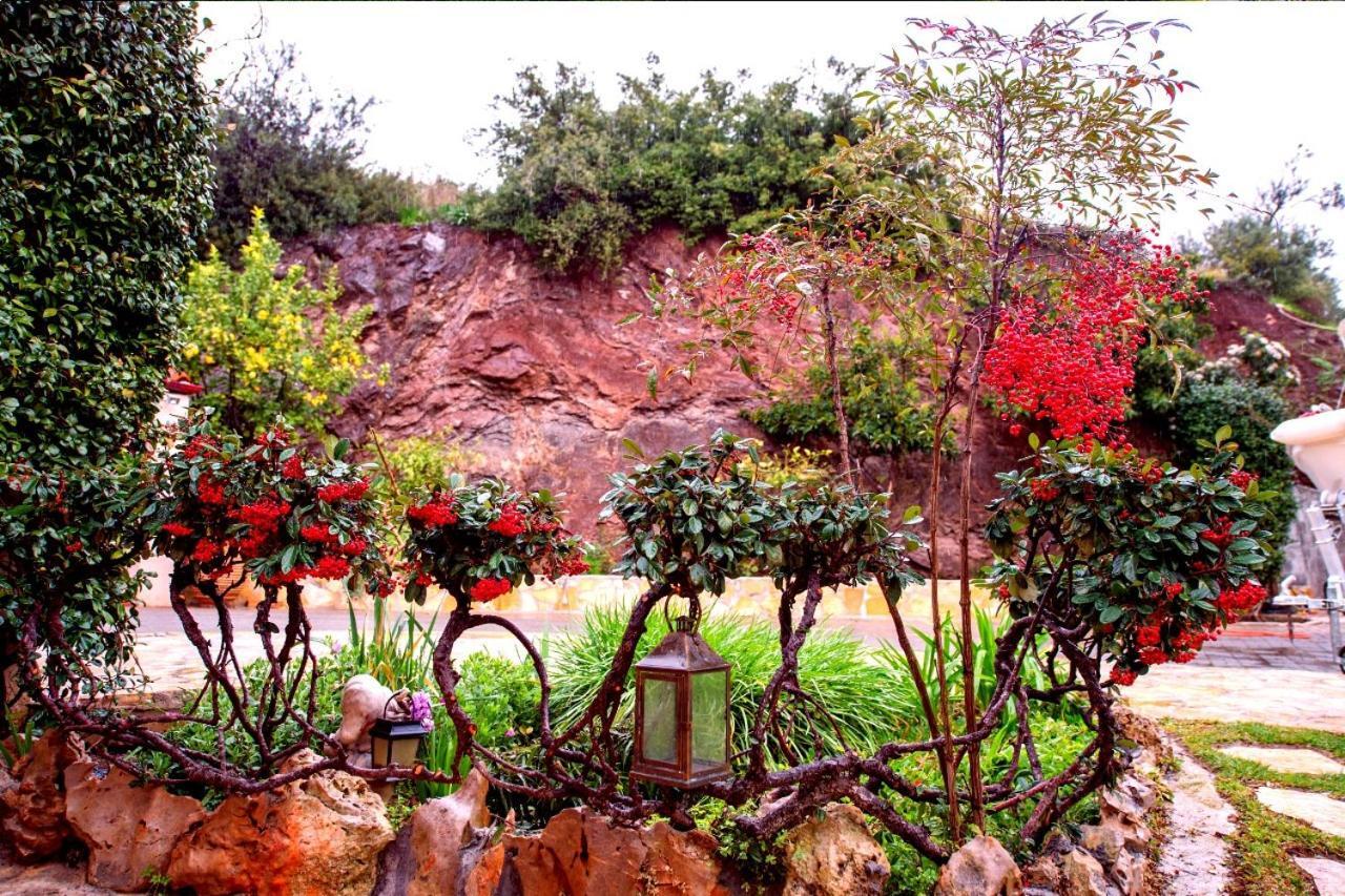 Irene'S Comfort Villa نيا إيبيدافروس المظهر الخارجي الصورة